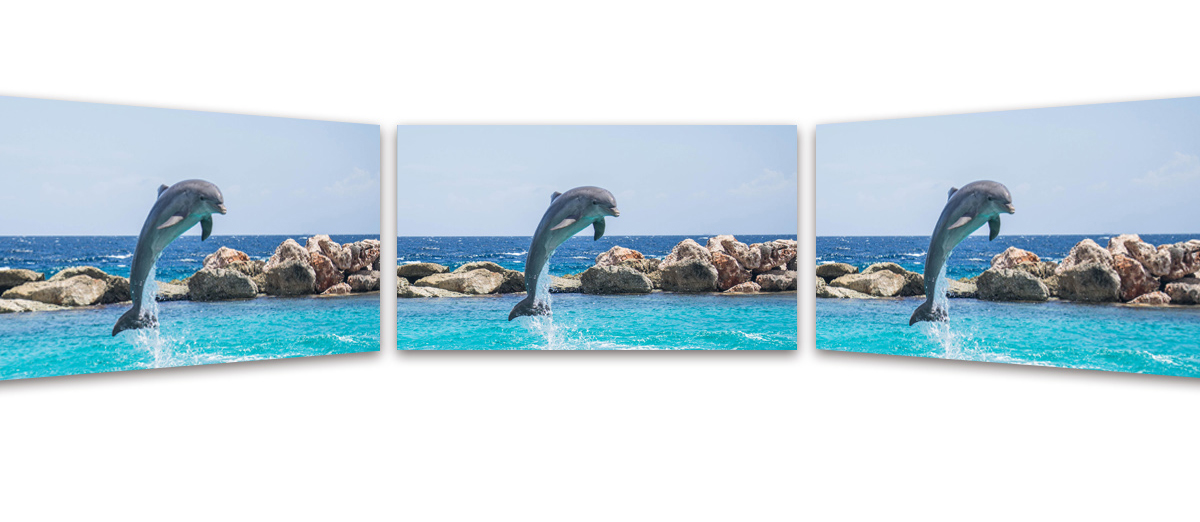 1573091345968892.jpg 戶外_10.jpg